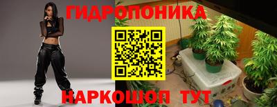 молекула духа Кулебаки