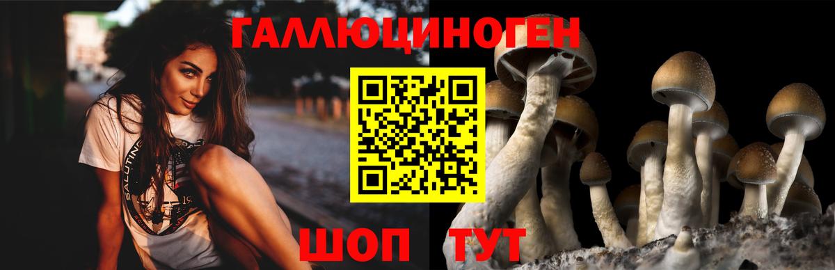 Волгодонск  Галлюциногенные грибы ЛСД  Псилоцибиновые грибы MAGIC MUSHROOMS  Вход с VPN 